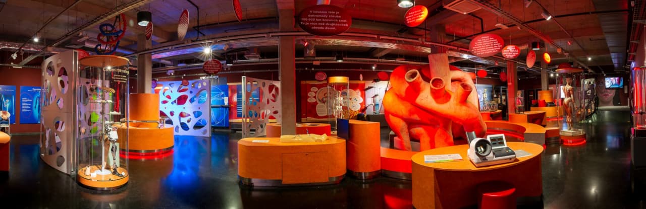 iQLANDIA-Clovek-Expozice (5)